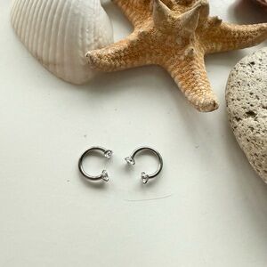 Pierced Universe Titanium Horseshoe Earrings